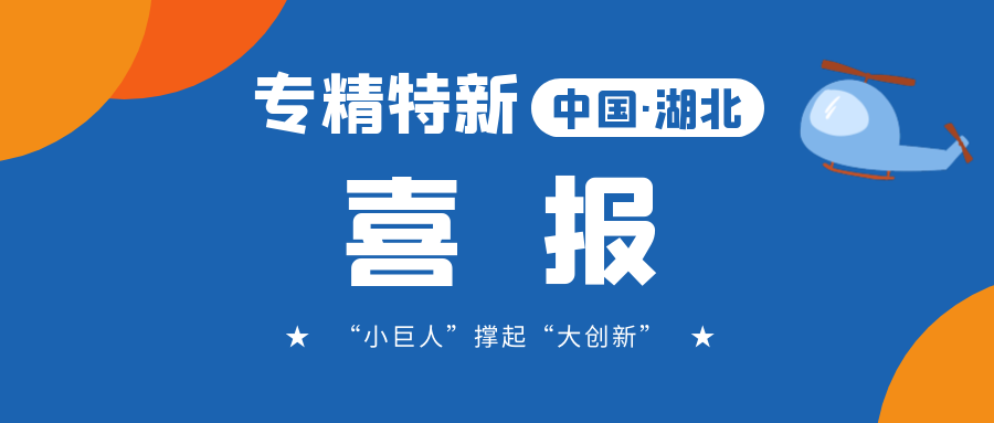 喜報(bào)!飛燕遙感成功入選省級(jí)專(zhuān)精特新“小巨人”企業(yè)